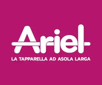 Ariel